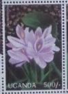 Colnect-6034-432-Water-hyacinth.jpg