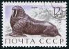 The_Soviet_Union_1971_CPA_4040_stamp_%28Walrus%29_cancelled_large_resolution.jpg