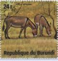Colnect-1324-119-African-Wild-Ass-Equus-asinus.jpg