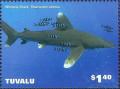 Colnect-6344-963-Whitetip-Shark.jpg