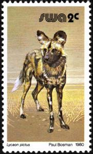 Colnect-5222-265-African-Wild-Dog-Lycaon-pictus.jpg