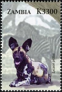 Colnect-3051-630-African-Wild-Dog-Lycaon-pictus.jpg