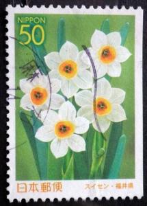 Colnect-6177-691-Wild-Narcissus.jpg