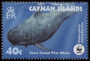 Colnect-1776-857-Short-finned-Pilot-Whale-Globicephala-macrorhynchus.jpg