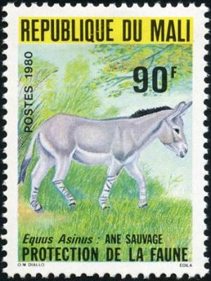 Colnect-2000-315-African-Wild-Ass-Equus-asinus.jpg