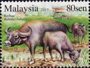 Colnect-2547-607-Domestic-Asian-Water-Buffalo-Bubalus-bubalis.jpg