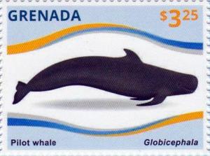 Colnect-3014-877-Short-finned-Pilot-Whale-Globicephala-macrorhynchus.jpg