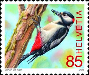 Colnect-4959-326-Great-Spotted-Woodpecker-Dendrocopos-major.jpg