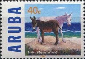 Colnect-980-153-African-Wild-Ass-Equus-asinus.jpg