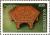 Colnect-856-346-Wooden-table.jpg