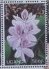 Colnect-6034-433-Water-hyacinth.jpg