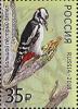 Colnect-4724-118-Great-spotted-woodpecker-Dendrocopos-major.jpg