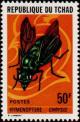 Colnect-1052-811-Cuckoo-Wasp-Chrysis-chrysis.jpg