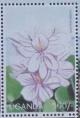 Colnect-6034-431-Water-hyacinth.jpg