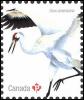 Colnect-5497-076-Whooping-Crane.jpg