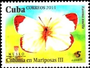 Colnect-2859-591-Cuban-Yellow-Eurema-amelia.jpg