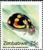 Colnect-5434-162-Black-and-Yellow-Spotted-Ladybird.jpg