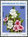Colnect-1049-614-Flowers---Catharanthus-roseus.jpg