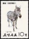 Colnect-1585-190-Zebra-Equus-sp.jpg