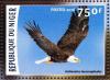Colnect-4919-607-Bald-Eagle----Haliaeetus-leucocephalus.jpg