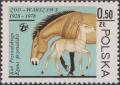 Colnect-1795-075-Przewalski%E2%80%99s-Horse-Equus-przewalskii.jpg