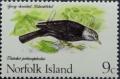 Colnect-486-823-Grey-headed-Blackbird--Turdus-poliocephalus-poliocephalus.jpg