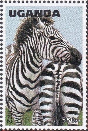 Colnect-1712-462-Zebra-Equus-sp.jpg
