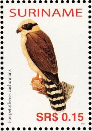 Colnect-3837-067-Laughing-Falcon%C2%A0%C2%A0%C2%A0%C2%A0Herpetotheres-cachinnans.jpg