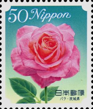 Colnect-4144-880-Rose---Ibaraki-Prefecture.jpg