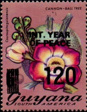 Colnect-4877-472--INT-YEAR-OF-PEACE--and--120--on-6c-Cannon-ball-Tree.jpg