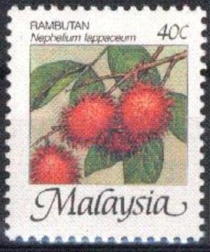 Colnect-5214-752-Tropical-Fruits--Nephelium-lappaceum-Rambutan.jpg