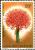Colnect-1541-662-Blood-Lily---Haemanthus-multiflorus.jpg