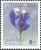 Colnect-1668-430-Flowers---Burmannia-coelestris.jpg