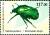 Colnect-5526-083-Bugs---Cetonia-aurata-L.jpg