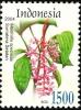 Colnect-1586-560-Flora---Medinilla-speciosa.jpg