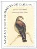 Colnect-2510-899-Cuba-long-beak-Milan---Chondrohierax-uncinatus-wilsonii.jpg