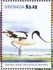 Colnect-4523-310-Pied-Avocet----Recurvirostra-avosetta.jpg
