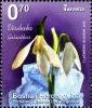 Colnect-5132-353-Flora---Snowdrop-flowers2.jpg