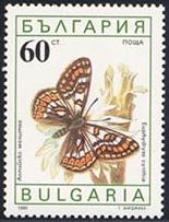 Skap-bulgaria_15_bfly-moths_3551-6.jpg-crop-155x203at339-221.jpg