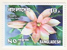 WSA-Bangladesh-Postage-1978-1.jpg-crop-237x175at131-689.jpg