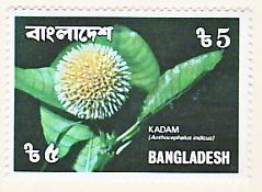 WSA-Bangladesh-Postage-1978-1.jpg-crop-239x175at673-896.jpg