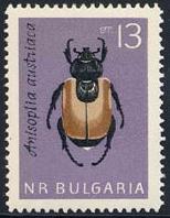 Skap-bulgaria_06_insects_1332-37.jpg-crop-154x198at414-220.jpg