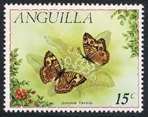 Skap-anguilla_01_butterflies_123-26.jpg-crop-216x172at260-20.jpg