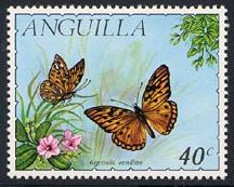 Skap-anguilla_01_butterflies_123-26.jpg-crop-216x173at20-236.jpg