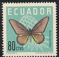 Skap-ecuador_01_bfly_680-83.jpg-crop-190x183at568-7.jpg