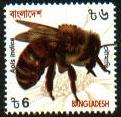 Skap-bangladesh_xx_insects_new.jpg-crop-121x117at5-123.jpg