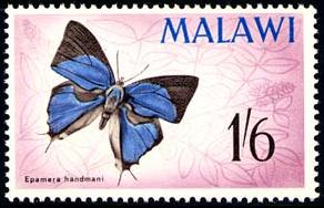 Skap-malawi_01_bfly.jpg-crop-292x188at6-191.jpg