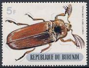 Skap-burundi_03_beetles-silver-bottom_312-321.jpg-crop-183x140at209-10.jpg