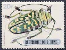 Skap-burundi_03_beetles-silver-bottom_312-321.jpg-crop-214x160at84-313.jpg