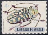 Skap-burundi_03_beetles-silver-bottom_312-321.jpg-crop-188x140at9-12.jpg